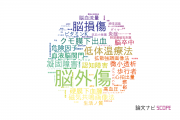 【論文データ】brain injury（脳損傷）の国内研究動向まとめ