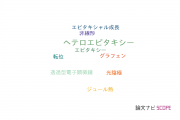 【論文データ】3C-SiCの国内研究動向まとめ