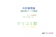 【論文データ】renormalization group（くりこみ群）の国内研究動向まとめ