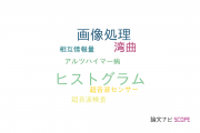【論文データ】histogram（ヒストグラム）の国内研究動向まとめ