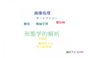 【論文データ】morphological analysis（形態学的解析）の国内研究動向まとめ