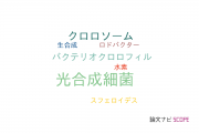【論文データ】photosynthetic bacteria（光合成細菌）の国内研究動向まとめ