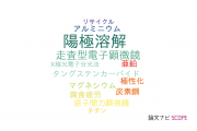 【論文データ】anodic dissolution（陽極溶解）の国内研究動向まとめ