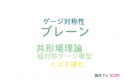 【論文データ】Brane Dynamics in Gauge Theoriesの国内研究動向まとめ