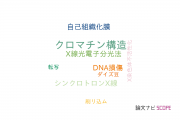 【論文データ】chromatin structure（クロマチン構造）の国内研究動向まとめ