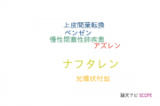 【論文データ】naphthalene（ナフタレン）の国内研究動向まとめ