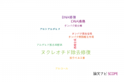 【論文データ】nucleotide excision repair（ヌクレオチド除去修復）の国内研究動向まとめ