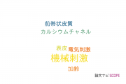 【論文データ】mechanical stimulation（機械刺激）の国内研究動向まとめ