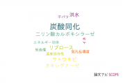 【論文データ】CO2 assimilation（炭酸同化）の国内研究動向まとめ