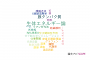 【論文データ】energeticsの国内研究動向まとめ