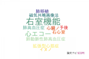 【論文データ】right ventricular function（右室機能）の国内研究動向まとめ