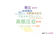 【論文データ】ocular hypertension（高眼圧症）の国内研究動向まとめ