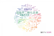 【論文データ】supercritical（超臨界）の国内研究動向まとめ
