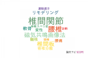 【論文データ】facet joint（椎間関節）の国内研究動向まとめ
