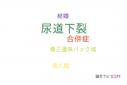 【論文データ】hypospadias（尿道下裂）の国内研究動向まとめ