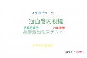 【論文データ】coronary angioscopy（冠血管内視鏡）の国内研究動向まとめ