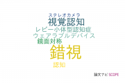 【論文データ】visual illusion（錯視）の国内研究動向まとめ