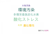【論文データ】NPAHsの国内研究動向まとめ