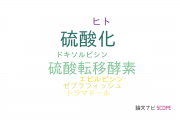 【論文データ】cytosolic sulfotransferaseの国内研究動向まとめ