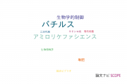 【論文データ】Bacillus amyloliquefaciens（バチルス･アミロリケファシエンス）の国内研究動向まとめ