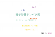 【論文データ】seed storage protein（種子貯蔵タンパク質）の国内研究動向まとめ