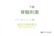 【論文データ】spinal cord stimulation（脊髄刺激）の国内研究動向まとめ