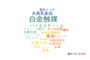 【論文データ】platinum catalyst（白金触媒）の国内研究動向まとめ