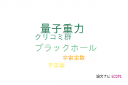 【論文データ】quantum gravity（量子重力）の国内研究動向まとめ