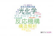 【論文データ】reactive intermediatesの国内研究動向まとめ