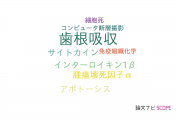【論文データ】root resorption（歯根吸収）の国内研究動向まとめ