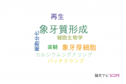 【論文データ】dentinogenesis（象牙質形成）の国内研究動向まとめ
