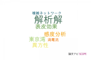 【論文データ】analytical solution（解析解）の国内研究動向まとめ