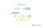 【論文データ】Euler number（オイラー数）の国内研究動向まとめ