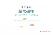 【論文データ】superparamagnetic（超常磁性）の国内研究動向まとめ