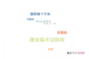【論文データ】abdominoperineal resection（腹会陰式切除術）の国内研究動向まとめ