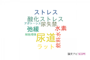 【論文データ】urethra（尿道）の国内研究動向まとめ