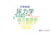 【論文データ】urodynamics（尿力学）の国内研究動向まとめ