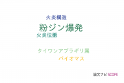 【論文データ】dust explosion（粉ジン爆発）の国内研究動向まとめ