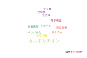 【論文データ】carbocations（カルボカチオン）の国内研究動向まとめ